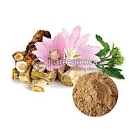 Bulk Organic Marshmallow Root Powder | Organic Marshmallow Root Powder Supplier