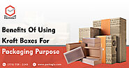 Benefits Of Using Kraft Boxes For Packaging Purpose