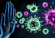Can You Actually Boost The Immune System? | OBF Gyms | Blog