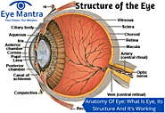 Anatomy of Eye: Its Structure With Their Functions | Human Eye Anatomy