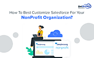How To Customize Salesforce Nonprofit Success Pack Services For Your Organization?