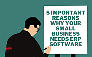 Why Small Business Needs ERP Software | The Enterprise World