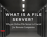 What is a File Server? Why an Online File Server is Crucial for Remote Companies?