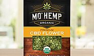 MoHemp CBD’s Packaging Design Leverages On The Power Of A First Impression
