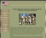 Gazn Golden Retrievers, PA Golden Retriever Breeders, Puppies, Pennsylvania
