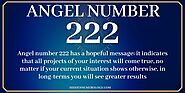 The Meaning of Number 222