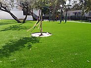 TK Artificial Grass & Turf Installation Tampa Bay