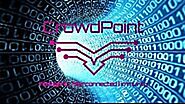 CrowdPoint - Empowering the regular guy and leveling the playing field for the small business entrepreneur?