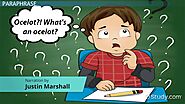 How to Paraphrase: Lesson for Kids - Video & Lesson Transcript | Study.com