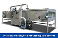 Can I start small-scale fruit juice processing for our business?