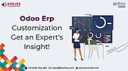 Odoo ERP Customization - Get an Expert's Insight!
