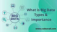 What Big Data is - Types, History, and Importance