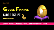 Goose Finance Clone Script - Build & Launch DeFi Exchange Platform Like Goose Finance On BSC