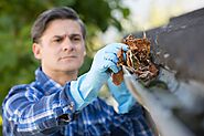 Best Gutter Cleaning Services to Contact in Cobham