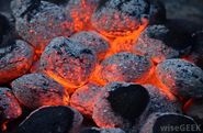 What is the Difference Between Charcoal and Gas Grills?