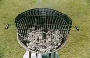 The Debate Rages On: Charcoal vs Gas