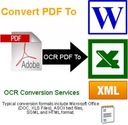 PDF to Excel Data Conversion, PDF to XLS Data Keying