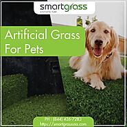 Artificial Grass for Pets - Smart Grass USA