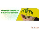 Buy Perfect Money (USD) Financial & Legal Services Rohini Sector-10 - Tuffclassified