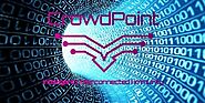 Crowdpoint a Trusted Agent in a Untrusting World