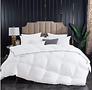 Warm Premium White Down Comforter with Contemporary Black Piped Edge, 100% Cotton Fabric, Hypoallergenic 750 Fill Pow...
