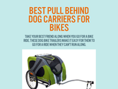 Best Pull Behind Dog Carriers For Bikes