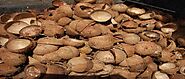 Health Benefits of Coconut Shell - Holistic Health Practitioner's File