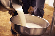Why Some States Want To Legalize Raw Milk Sales