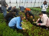 Students explore organic farming, sustainable agriculture in new GVSU program