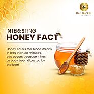 Interesting Honey Facts