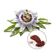 Bulk Organic Passion Flower Extract Supplier | Organic Passion Flower Extract Supplier