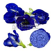 USDA Approved Bulk Organic Butterfly Pea Flower Powder Supplier in USA