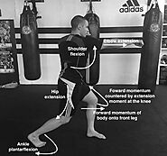 What muscles does hitting a heavy bag work?