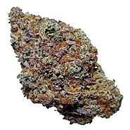 Blackberry Kush - Blackberry Kush Strain For Sale - MMjdispensary.org