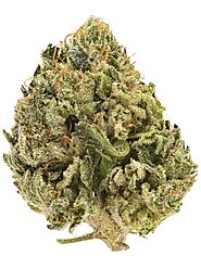 Presidential Kush Online - Presidential Kush Strain - MMjdispensary.org