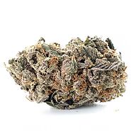 Buy Purple Dragon online - Purple Dragon Strain - MMjdispensary.org