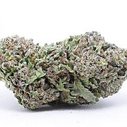 Buy Black Mamba - Black Mamba Strain - MMjdispensary.org