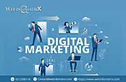 Professional Digital Marketing, SEO, Web Designing, Development Company in India