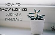 E Commerce Development Agency — How to Grow Your Business in the Pandemic...