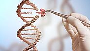 Global Genome Editing Market Size, Share, Trend & Forecast 2025 | TechSci Research