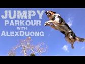Alex & Jumpy - The Parkour Dog