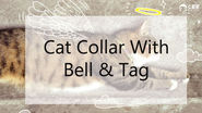 Cat Collar With Bell And Tag (with image) · iplay