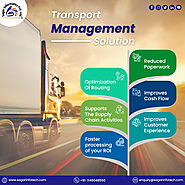 Transport Management Software: Streamline Logistics and Improve Efficiency !