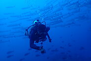 The 5 best deep diving sites for certified and experienced diver – Seahawks Scuba