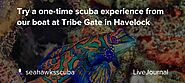 Try a one-time scuba experience from our boat at Tribe Gate in Havelock: seahawksscuba — LiveJournal