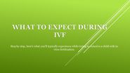 What to Expect During IVF