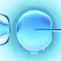What is in vitro fertilisation (IVF)? What are test tube babies?