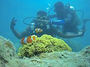 Scuba Diving in Andaman Nicobar (Best Places, Price & Photos)