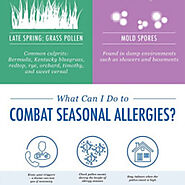 The difference between Spring and Fall Allergies | Visual.ly