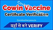 Cowin Vaccine Certificate Verification 1st 2nd Dose verify.cowin.gov.in - How to check Cowin certificate authentic or...